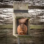 The Haystore Nyaraló