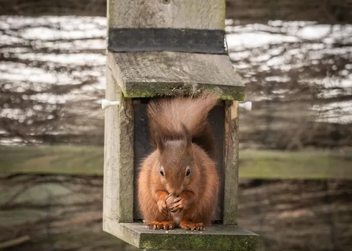 The Haystore Holiday home